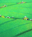 Paddy field 03-Vietnamese Painting