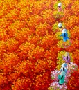 Red flower field 01-Original Vietnamese Art