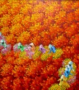 Red flower field 03-Original Vietnamese Art