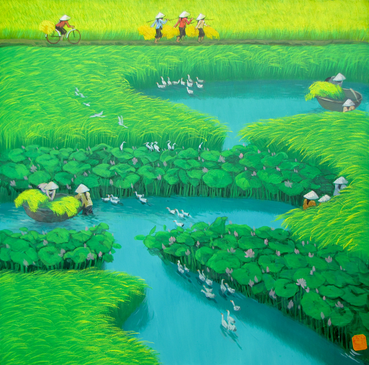 Lotus on the rice field 3-78x78