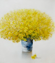 Yellow flowers-60x60cm